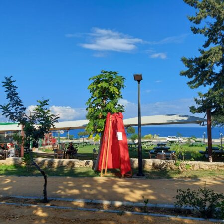 Kırmızı Alanlar – Kamusal Alanda Yerleştirmeler (5)